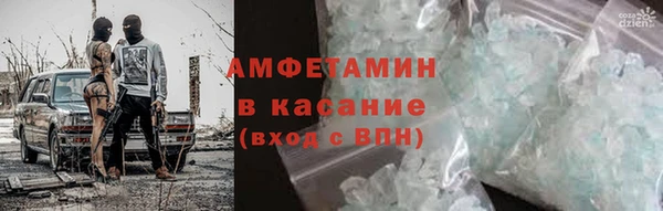 прущие грибы Белокуриха