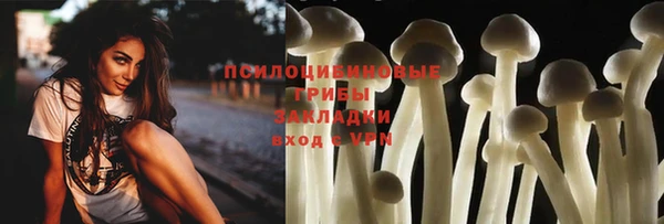 ешки Белоозёрский