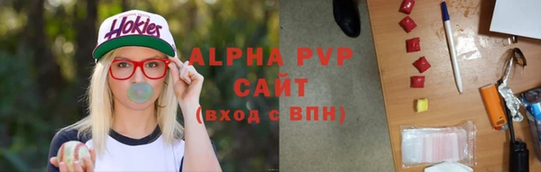 прущие грибы Белокуриха