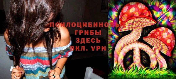 прущие грибы Белокуриха