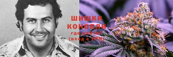 ешки Белоозёрский