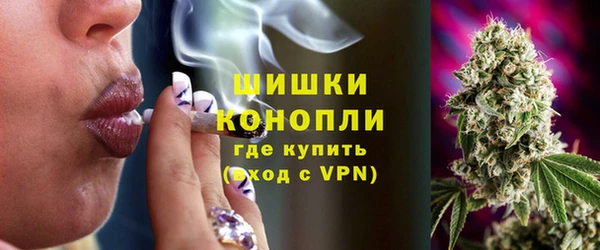 индика Зеленокумск